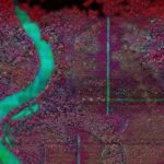 „Sprich, alte Haube, wo fehlt’s?“ – Die Kunsthalle Mainz als Echo-Chor einer Gesellschaft ohne Gedächtnis